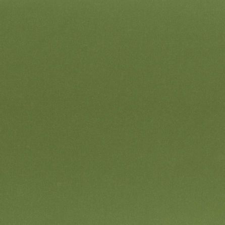 Εικόνα της ΥΦΑΣΜΑΤΑ ΕΠΙΠΛΩΣΕΩΝ NAPIER - OLIVE