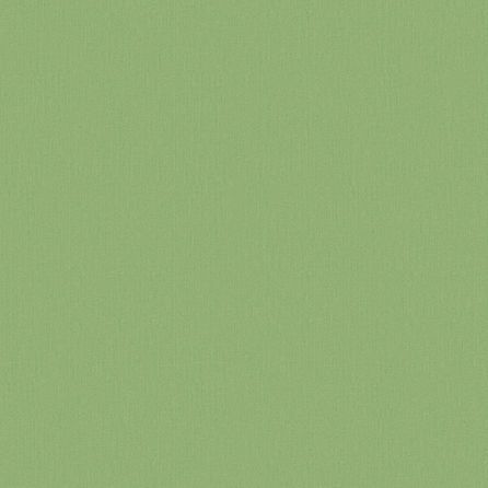 Εικόνα της ΤΑΠΕΤΣΑΡΙΑ ΜΟΝΟΧΡΩΜΗ PLAIN - ΠΡΑΣΙΝΟ