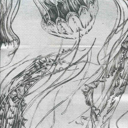 Εικόνα της ΥΦΑΣΜΑΤΑ ΕΠΙΠΛΩΣΕΩΝ MEDUSA - ΑΣΠΡΟ-ΜΑΥΡΟ