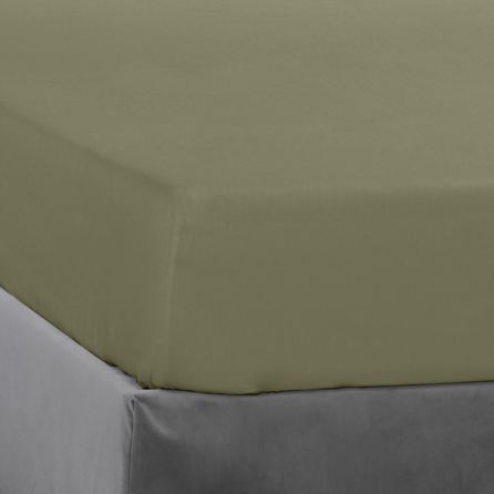 Εικόνα της ΣΕΝΤΟΝΙΑ PREMIUM PERCALE - ΧΑΚΙ