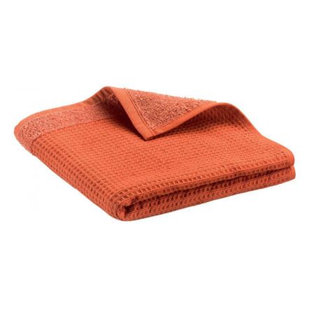 Εικόνα της ΠΕΤΣΕΤΕΣ ABBY - ΠΟΡΤΟΚΑΛΙ