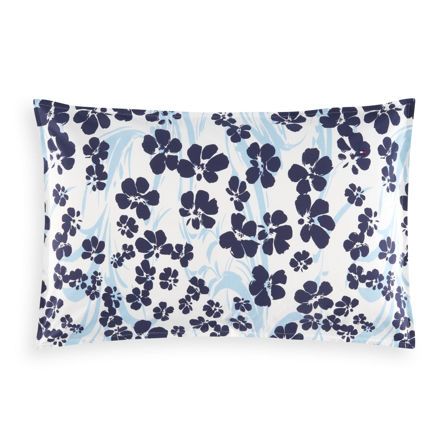 Εικόνα της ΜΑΞΙΛΑΡΟΘΗΚΕΣ FRESH - ΜΠΛΕ