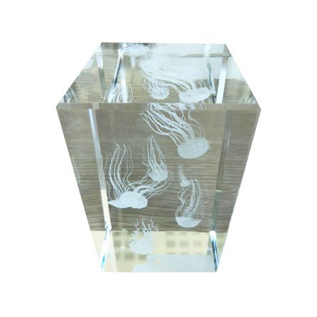 Εικόνα της ΕΙΔΗ ΔΙΑΚΟΣΜΗΣΗΣ JELLYFISH - ΛΕΥΚΟ