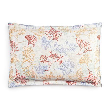 Εικόνα της ΜΑΞΙΛΑΡΟΘΗΚΕΣ RECIF - ΕΚΡΟΥ