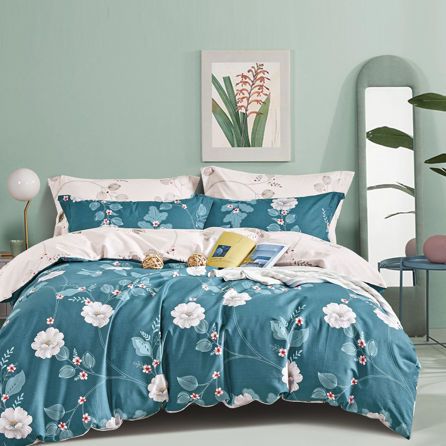 Εικόνα της ΠΑΠΛΩΜΑΤΟΘΗΚΕΣ DAISY - ΕΜΠΡΙΜΕ