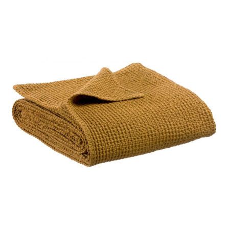 Εικόνα της ΡΙΧΤΑΡΙ MAIA  - ΜΠΡΟΝΖΕ