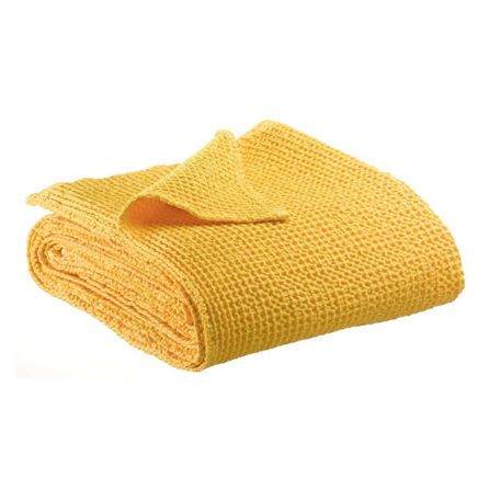 Εικόνα της ΡΙΧΤΑΡΙ MAIA  - ΚΙΤΡΙΝΟ