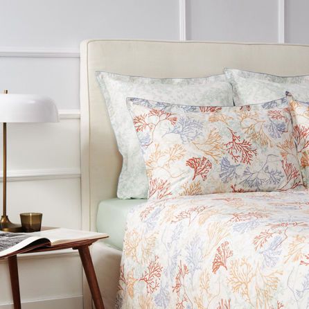 Εικόνα της ΣΕΝΤΟΝΙΑ RECIF - ΕΚΡΟΥ