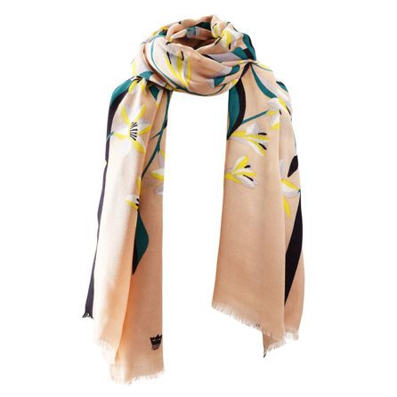 Εικόνα της ΚΑΛΟΚΑΙΡΙΝΑ NARCISSE - ΣΟΜOΝ