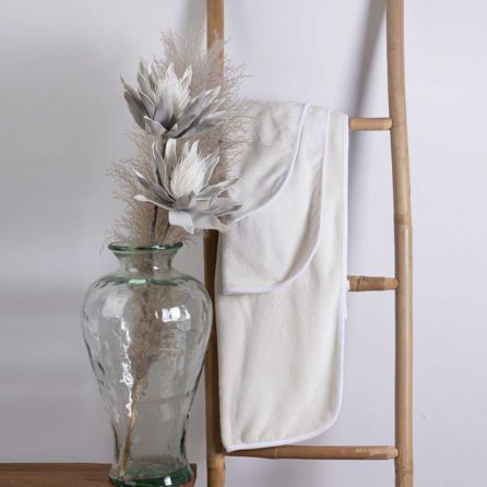 Εικόνα της ΠΕΤΣΕΤΕΣ HOME COLLECTION - ΙΒΟΥΑΡ