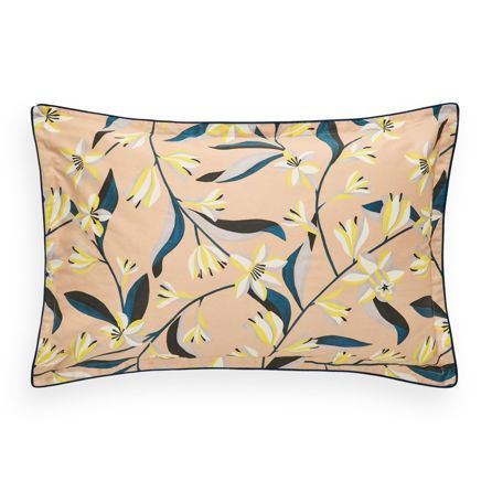 Εικόνα της ΜΑΞΙΛΑΡΟΘΗΚΕΣ NARCISSE - ΜΠΕΖ