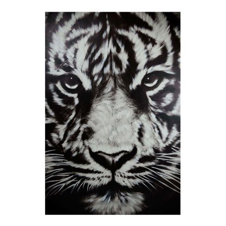 Εικόνα της ΕΙΔΗ ΔΙΑΚΟΣΜΗΣΗΣ TIGER - ΑΣΠΡΟ/ΜΑΥΡΟ