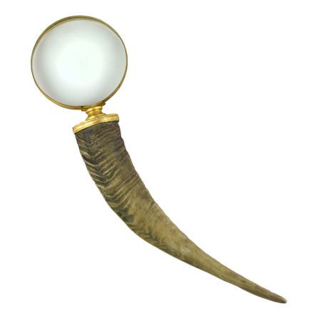 Εικόνα της ΕΙΔΗ ΔΙΑΚΟΣΜΗΣΗΣ POLYRESIN HORN MANIF - ΚΑΦΕ