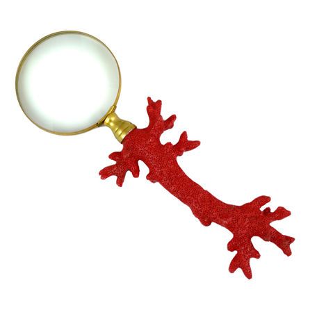 Εικόνα της ΕΙΔΗ ΔΙΑΚΟΣΜΗΣΗΣ CORAL - ΚΟΚΚΙΝΟ