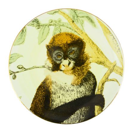 Εικόνα της ΕΙΔΗ ΔΙΑΚΟΣΜΗΣΗΣ SCIMMIA ΠΙΑΤΤΟ ΠΟΛΥΧ - ΕΜΠΡΙΜΕ