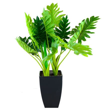 Εικόνα της ΕΙΔΗ ΔΙΑΚΟΣΜΗΣΗΣ ΦΥΤΟ ΣΕ ΚΑΣΠΩ FL006 - ΠΡΑΣΙΝΟ