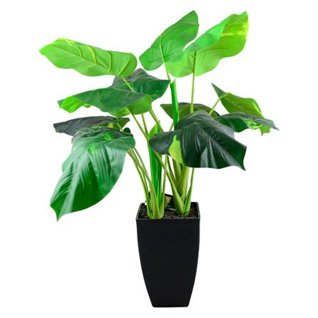 Εικόνα της ΕΙΔΗ ΔΙΑΚΟΣΜΗΣΗΣ ΦΥΤΟ ΣΕ - ΠΡΑΣΙΝΟ