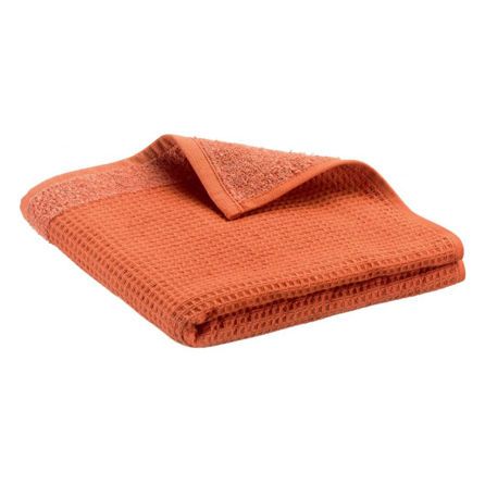 Εικόνα της ΠΕΤΣΕΤΕΣ ABBY - ΠΟΡΤΟΚΑΛΙ