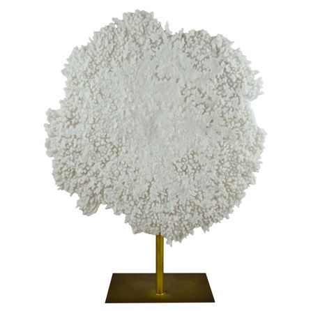 Εικόνα της ΕΙΔΗ ΔΙΑΚΟΣΜΗΣΗΣ AYLA - ΕΚΡΟΥ